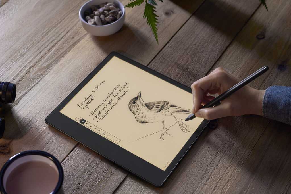 Image shows the Kindle Scribe on a desk and someone drawing a bird and taking notes